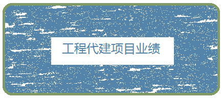 工程代建项目业绩一览表